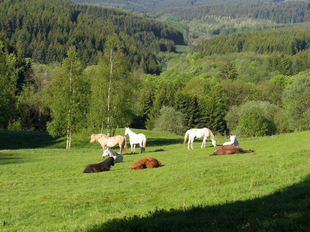 Hoher Weg *