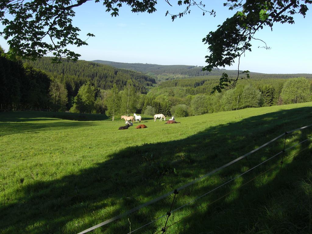 Hoher Weg Apartment Clausthal-Zellerfeld